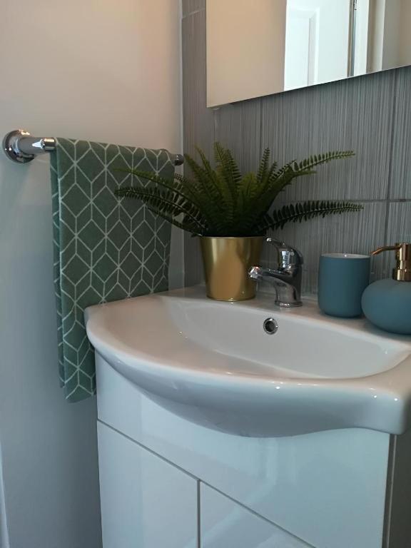Guesthouse Smart ブカレスト エクステリア 写真