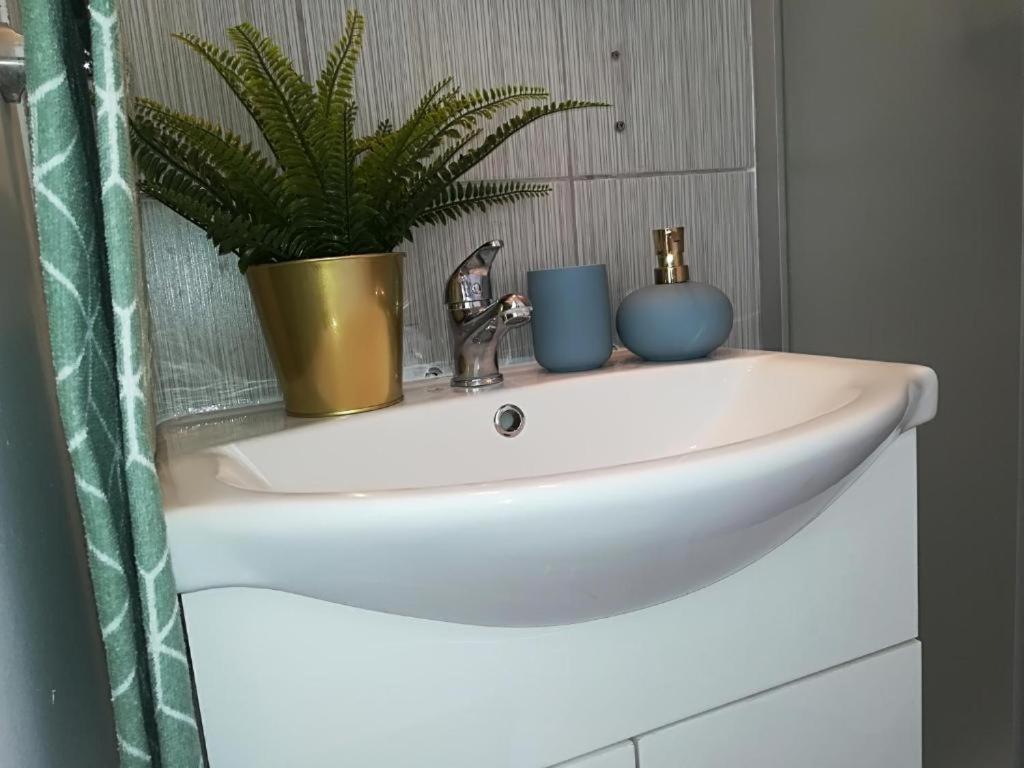 Guesthouse Smart ブカレスト エクステリア 写真